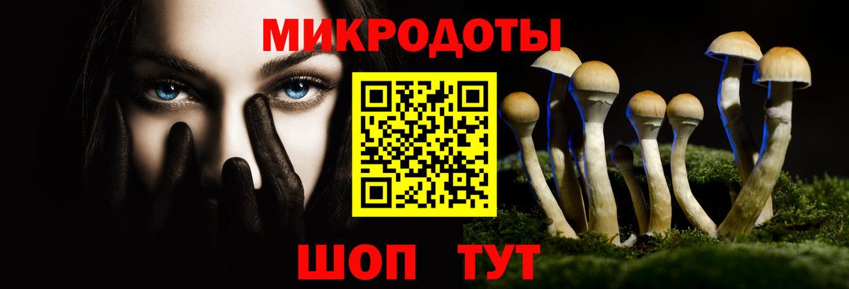 Пугачёв  Псилоцибиновые грибы прущие грибы  Вход с VPN  Галлюциногенные грибы MAGIC MUSHROOMS 